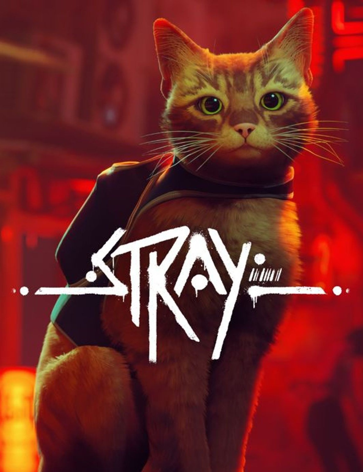 STRAY